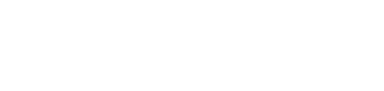 logo dark version