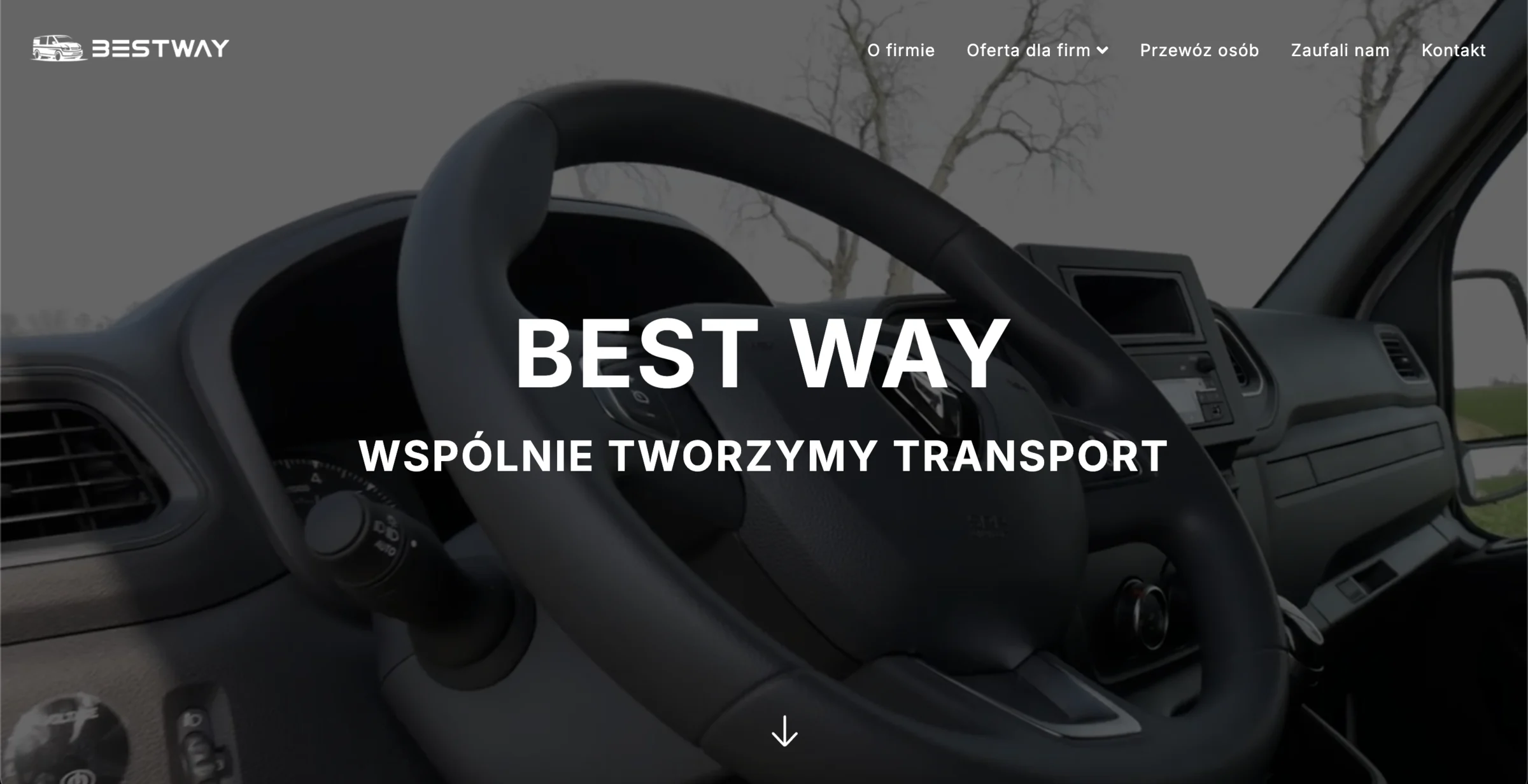 Dostawca usług transportowych